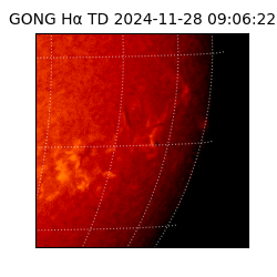 gong - 2024-11-28T09:06:22