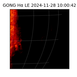 gong - 2024-11-28T10:00:42