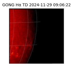 gong - 2024-11-29T09:06:22
