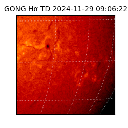 gong - 2024-11-29T09:06:22