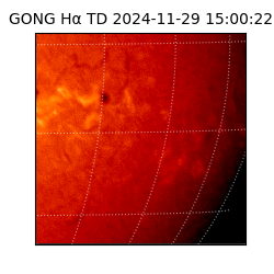 gong - 2024-11-29T15:00:22