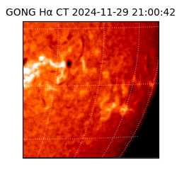 gong - 2024-11-29T21:00:42