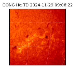 gong - 2024-11-29T09:06:22