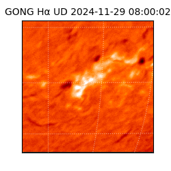 gong - 2024-11-29T08:00:02