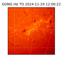 gong - 2024-11-29T12:00:22