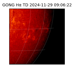 gong - 2024-11-29T09:06:22