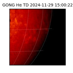 gong - 2024-11-29T15:00:22