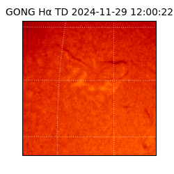 gong - 2024-11-29T12:00:22