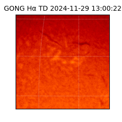 gong - 2024-11-29T13:00:22