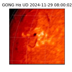 gong - 2024-11-29T08:00:02
