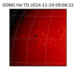 gong - 2024-11-29T09:06:22