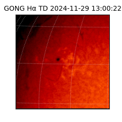gong - 2024-11-29T13:00:22