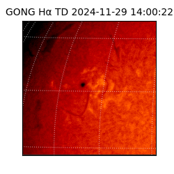 gong - 2024-11-29T14:00:22