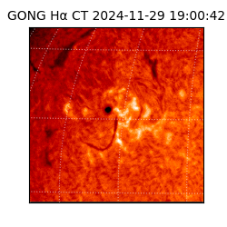 gong - 2024-11-29T19:00:42