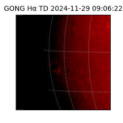 gong - 2024-11-29T09:06:22