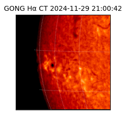 gong - 2024-11-29T21:00:42