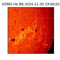 gong - 2024-11-30T19:00:02