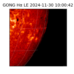 gong - 2024-11-30T10:00:42