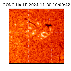 gong - 2024-11-30T10:00:42