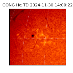 gong - 2024-11-30T14:00:22