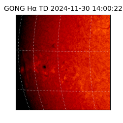 gong - 2024-11-30T14:00:22