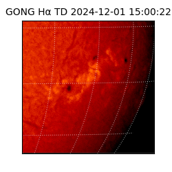 gong - 2024-12-01T15:00:22
