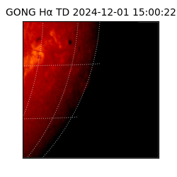 gong - 2024-12-01T15:00:22
