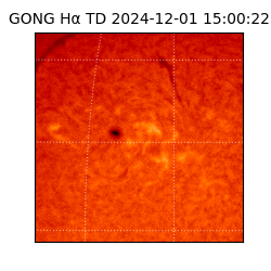 gong - 2024-12-01T15:00:22