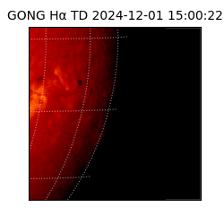 gong - 2024-12-01T15:00:22