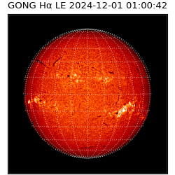 gong - 2024-12-01T01:00:42