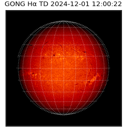 gong - 2024-12-01T12:00:22