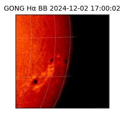 gong - 2024-12-02T17:00:02