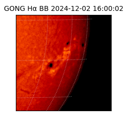 gong - 2024-12-02T16:00:02