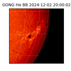 gong - 2024-12-02T20:00:02