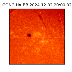 gong - 2024-12-02T20:00:02