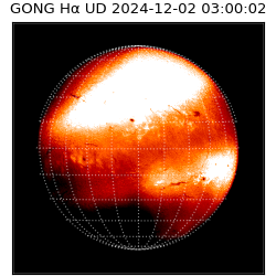gong - 2024-12-02T03:00:02