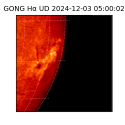 gong - 2024-12-03T05:00:02