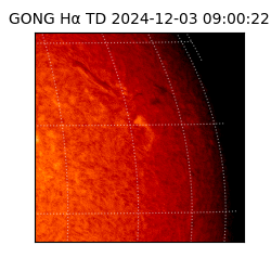 gong - 2024-12-03T09:00:22