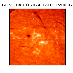 gong - 2024-12-03T05:00:02