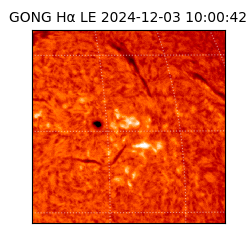 gong - 2024-12-03T10:00:42