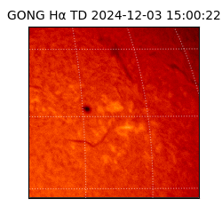 gong - 2024-12-03T15:00:22