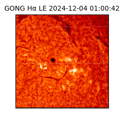 gong - 2024-12-04T01:00:42