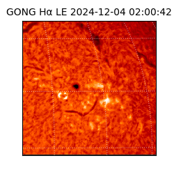 gong - 2024-12-04T02:00:42
