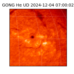 gong - 2024-12-04T07:00:02