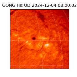 gong - 2024-12-04T08:00:02