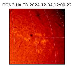 gong - 2024-12-04T12:00:22