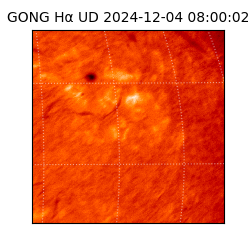 gong - 2024-12-04T08:00:02