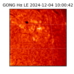 gong - 2024-12-04T10:00:42