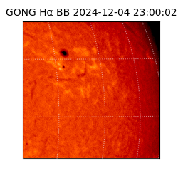 gong - 2024-12-04T23:00:02