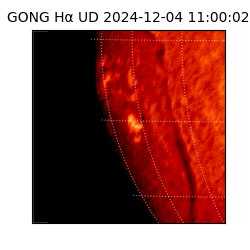 gong - 2024-12-04T11:00:02